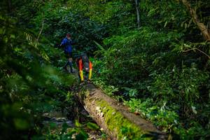 BIB: 
                            <button type="button" onclick="openModal(18922636)" class="btn btn-primary btn-sm float-right btn-popup" data-toggle="modal" data-target=".modal-high-quality">
                        <i class="fas fa-shopping-cart"></i> Add to Cart
                    </button>
                                            <button type="button" onclick="isThisMe(18922636, true)" class="btn btn-success btn-sm float-right btn-popup btn-isme hidden" data-toggle="tooltip" data-placement="bottom" title="นี่คือรูปของคุณใช่ไหม คลิกที่นี่เพื่อเอาเข้าอัลบั้ม">
                        <i class="fas fa-plus"></i> Add to album
                    </button>
                    <button type="button" onclick="isThisMe(18922636, false)" class="btn btn-warning btn-sm float-right btn-popup btn-isnotme hidden">
                        <i class="fas fa-ban"></i> Remove from album
                    </button>